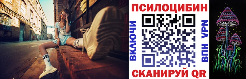 закладки  Владивосток  Галлюциногенные грибы мицелий 