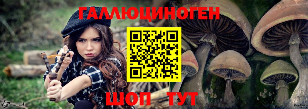 Владивосток  Псилоцибиновые грибы Psilocybe  Галлюциногенные грибы мухоморы  купить наркоту  Вход с VPN 