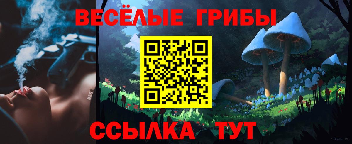 Галлюциногенные грибы Psilocybine cubensis Владивосток