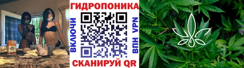 Канабис OG Kush  Владивосток 